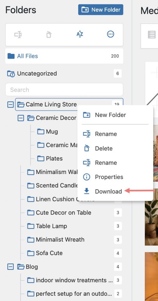Download button on folders or subfolders files