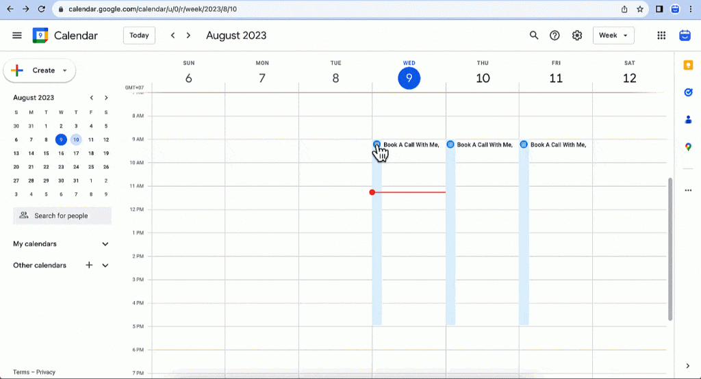 view google calendar booking page