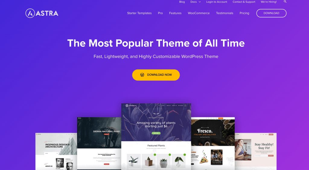 ASTRA - WordPress theme