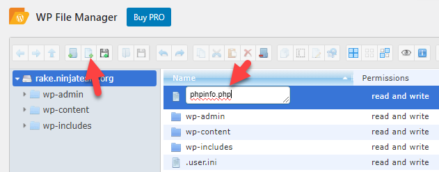 create phpinfo file