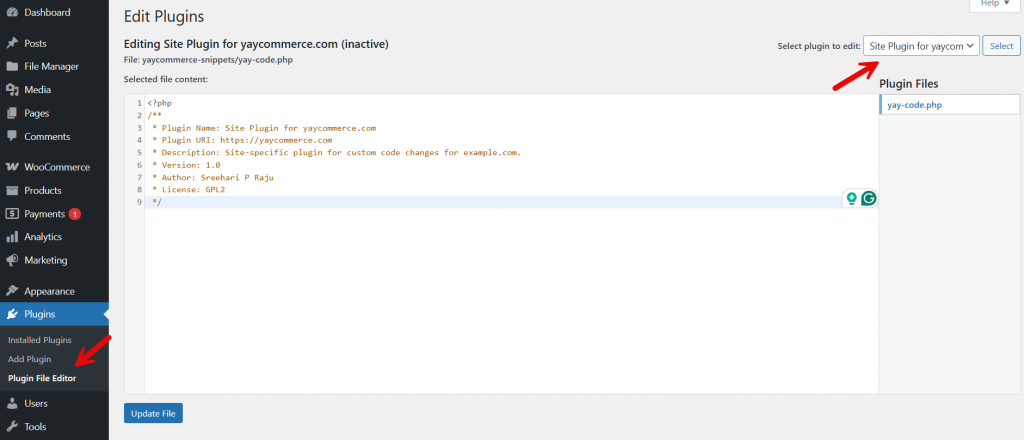 add custom snippet in plugin