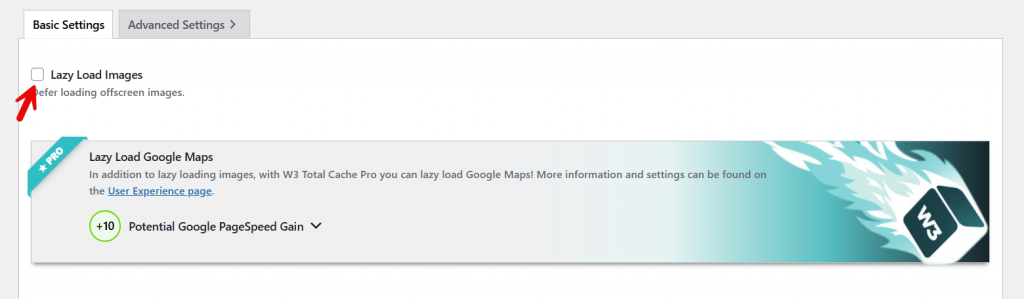 w3 lazy load settings