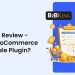 B2BKing review